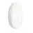 Philips LED Bulkhead CoreLine WL200V White 13W 1600lm - 830-840 CCT | 220mm - IP65 - Dali Dimmable