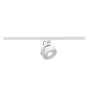 SLV Track Spot Kalu 1-Phase Aluminium White 13W 970lm 95D - 830 Warm White | Dimmable 